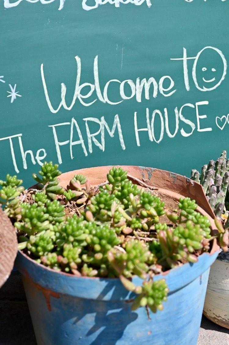אוטג'ו The Farmhouse Boutique Guesthouse And Beergarden Cc מראה חיצוני תמונה